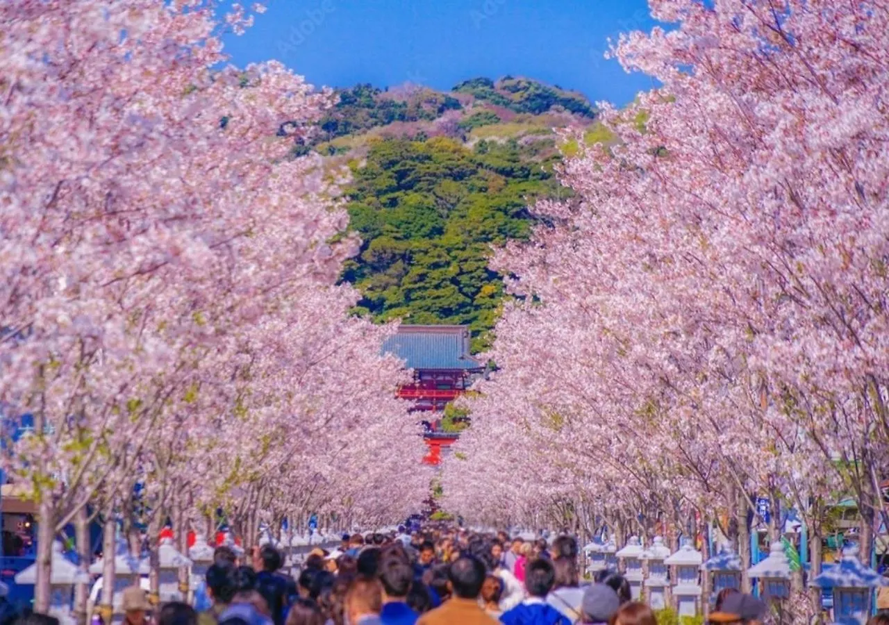 アパート Villa Lotus 鎌倉市