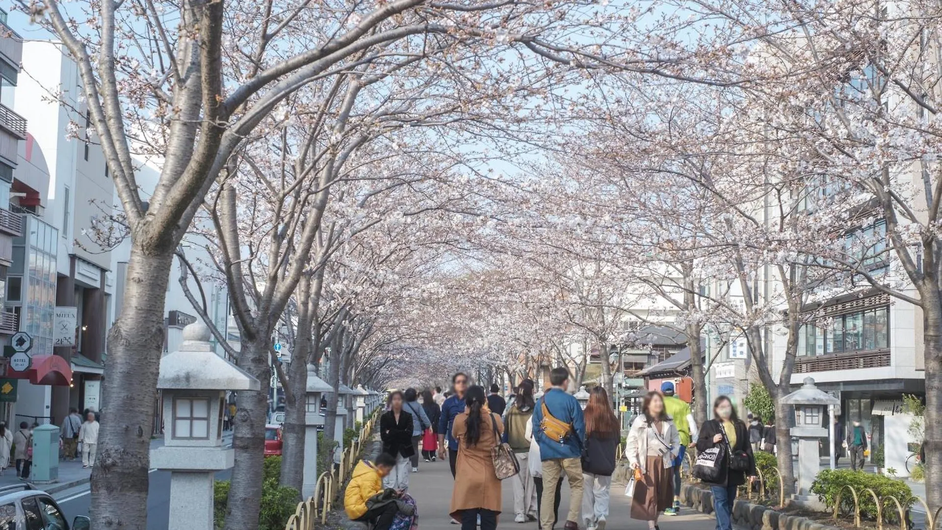 Villa Lotus 鎌倉市 日本